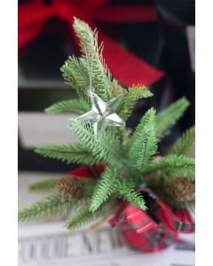 Opalized Star Ornament, Holidays 2023