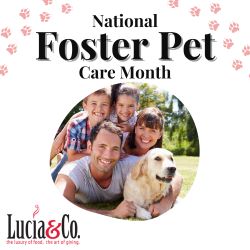 Foster Pet