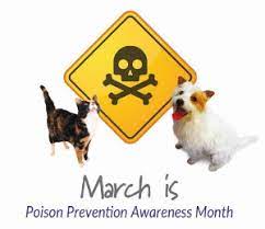 pet poison awareness